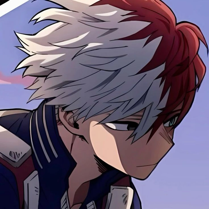 profile shoto todoroki pfp
