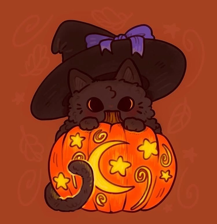 pumpkin cat pfp
