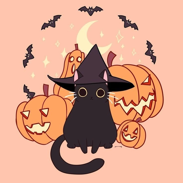 pumpkin cat profile picture