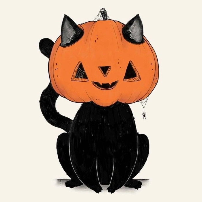 pumpkin hat profile picture