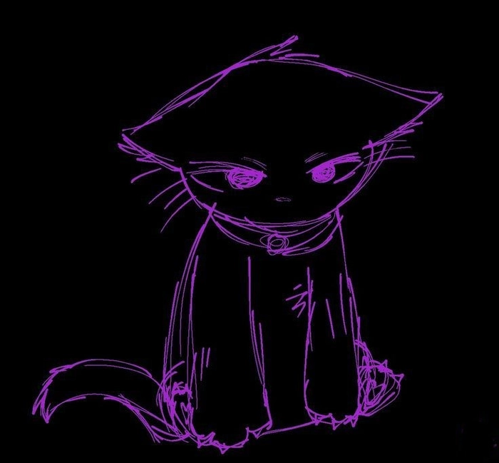 purple pfp cat