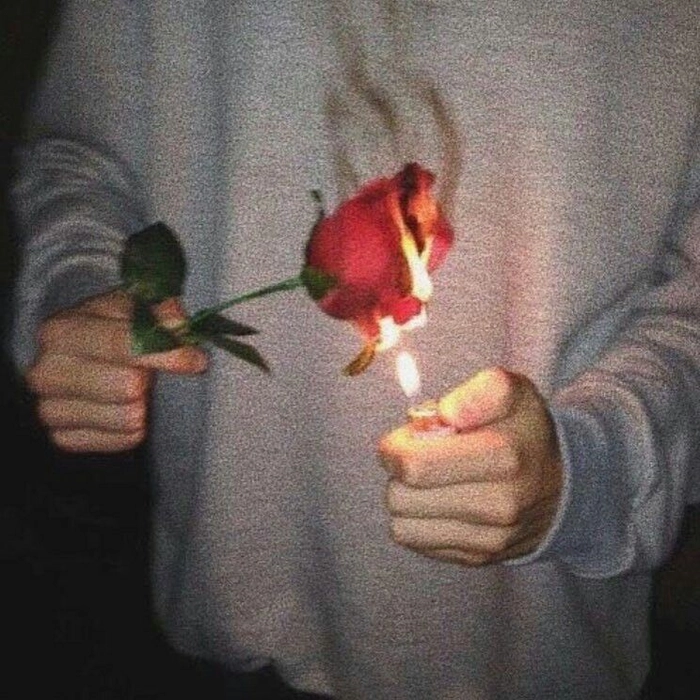 sad dead rose pfp