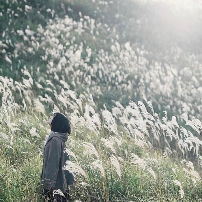 serene aesthetic profile picture with quiet tones