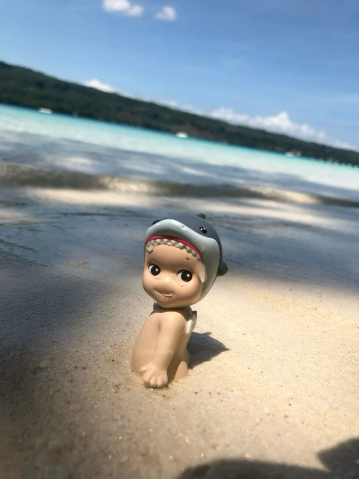 shark sonny angel pfp