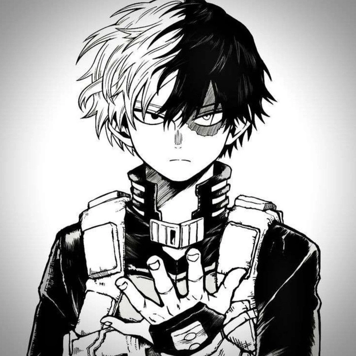 shoto todoroki manga pfp