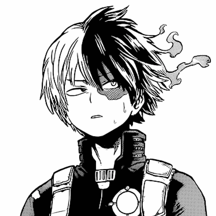 shoto todoroki pfp manga
