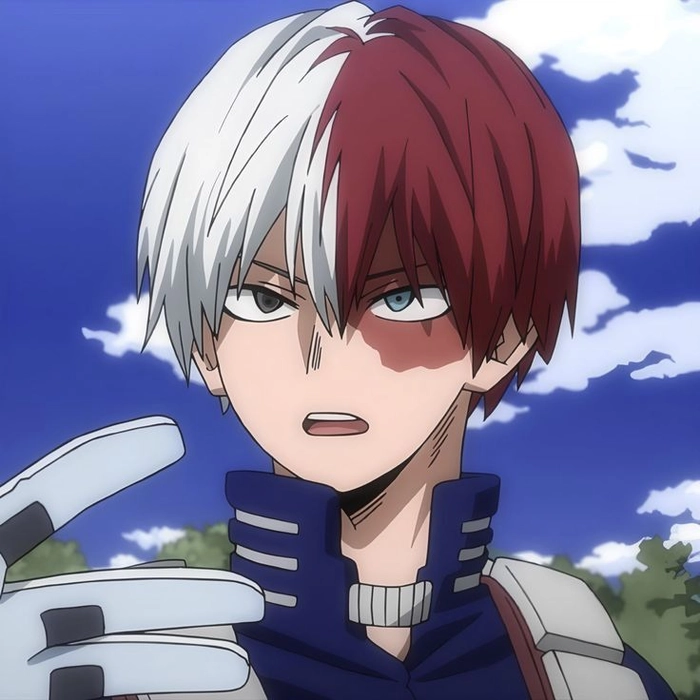 shoto todoroki pfp