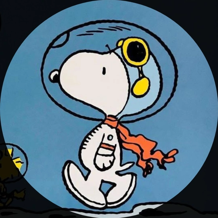 snoopy and woodstock matching pfp