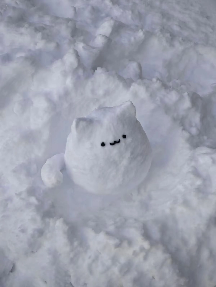 snow white pfp