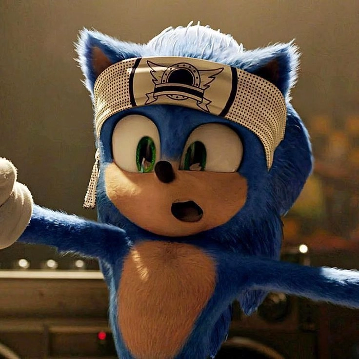 sonic cool pfp