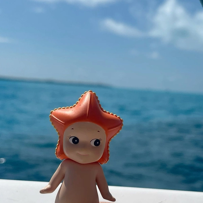 sonny angel starfish pfp