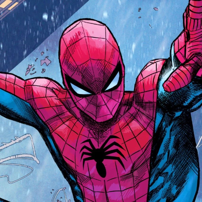 spectacular spider man pfp