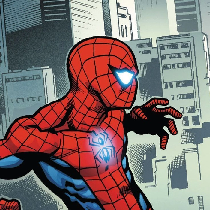 spider man matching pfp