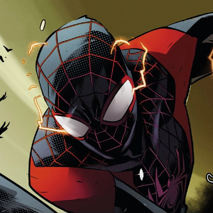 spider man miles morales pfp