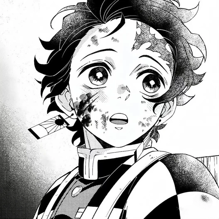 tanjiro pfp manga
