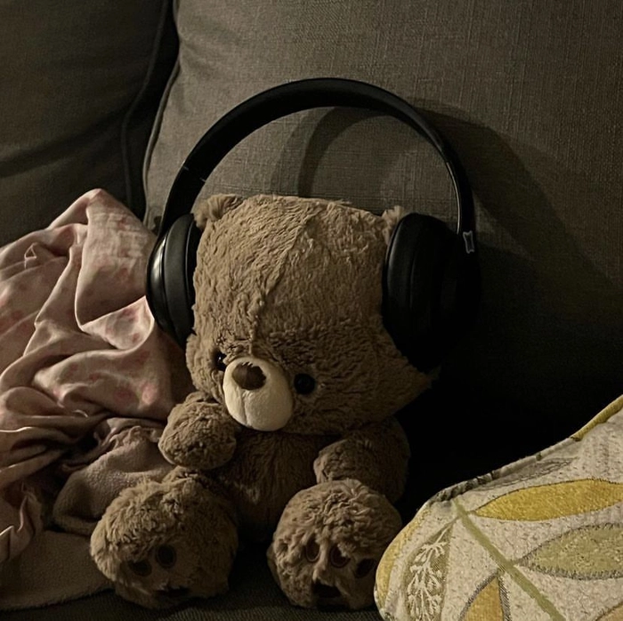 teddy bear with headphones pfp