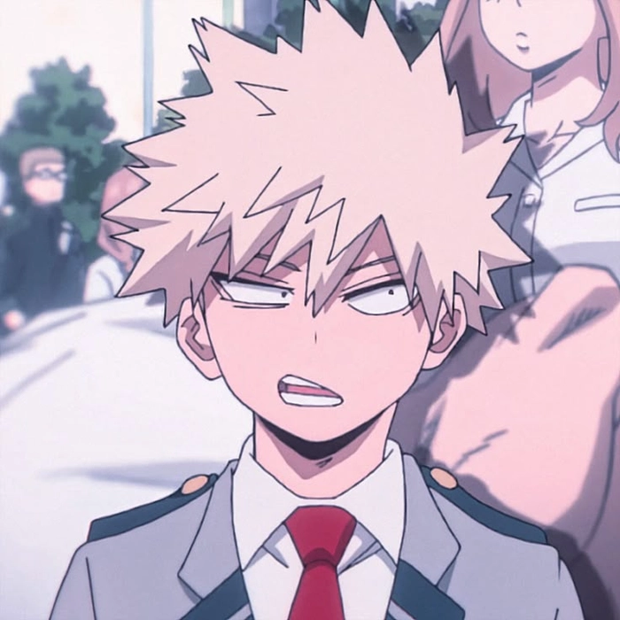 todoroki and bakugou matching pfp bakugo