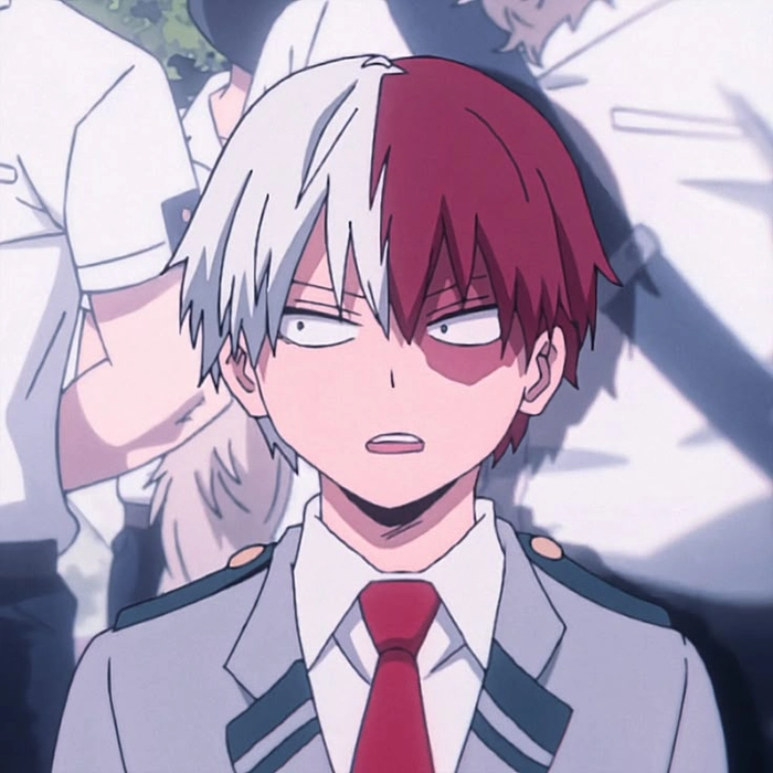 todoroki and bakugou matching pfp todoroki
