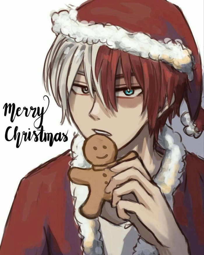 todoroki christmas pfp