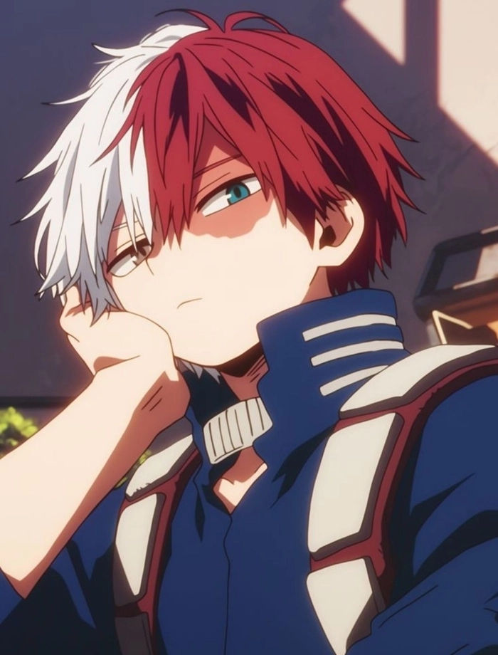 todoroki pfp aesthetic