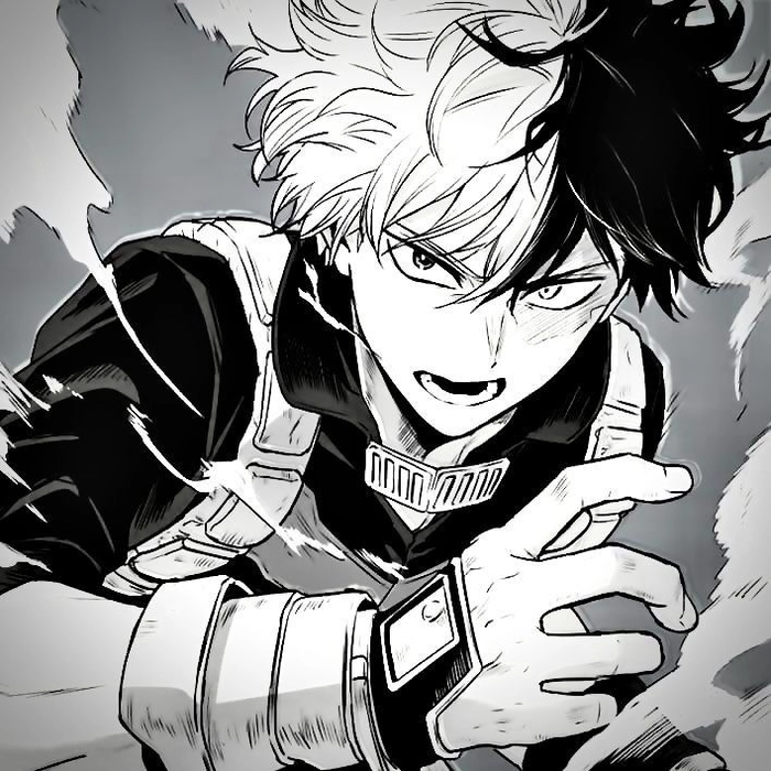 todoroki pfp black and white