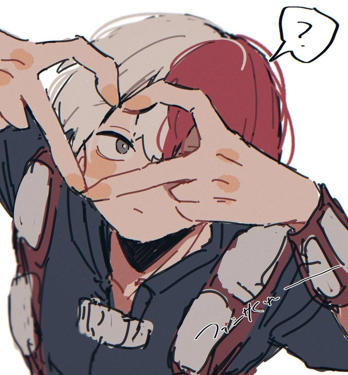 todoroki pfp funny