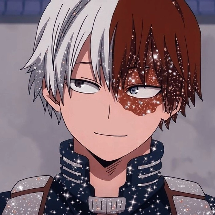 todoroki pfp glitter