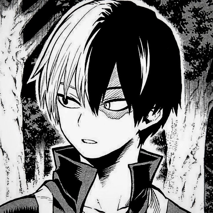 todoroki pfp manga