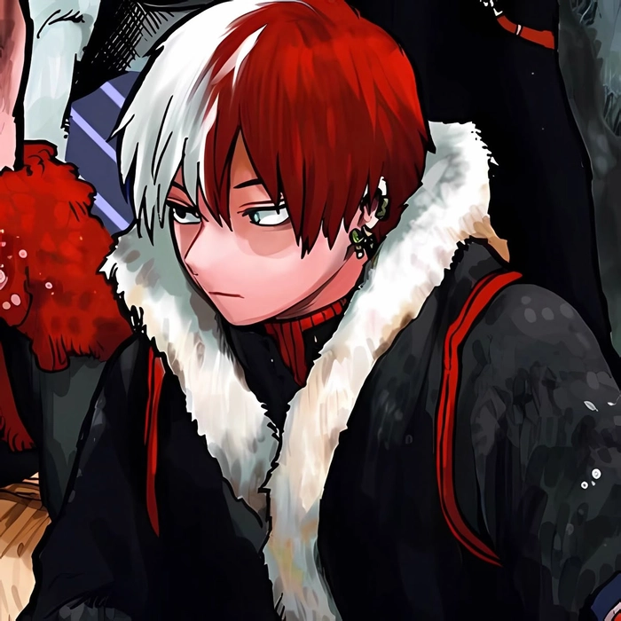 todoroki pfp