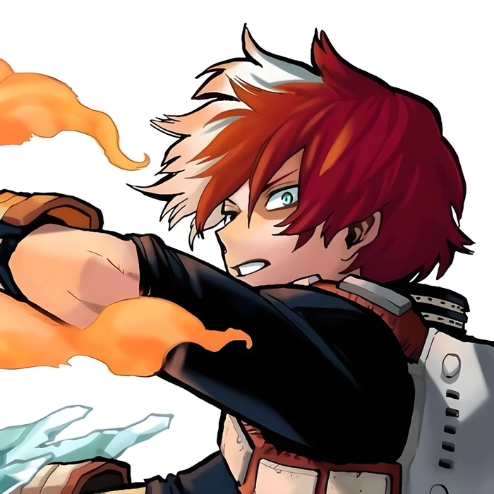 todoroki profile pictures