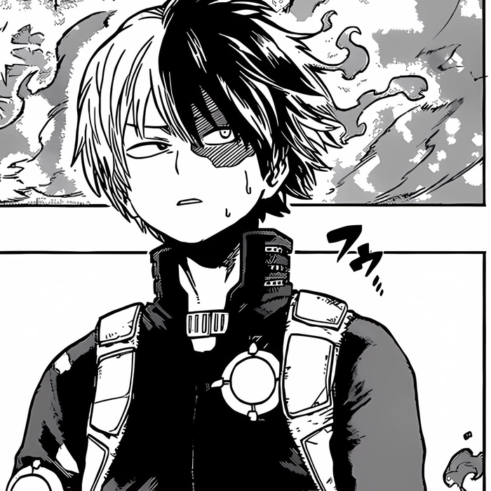 todoroki shoto pfp