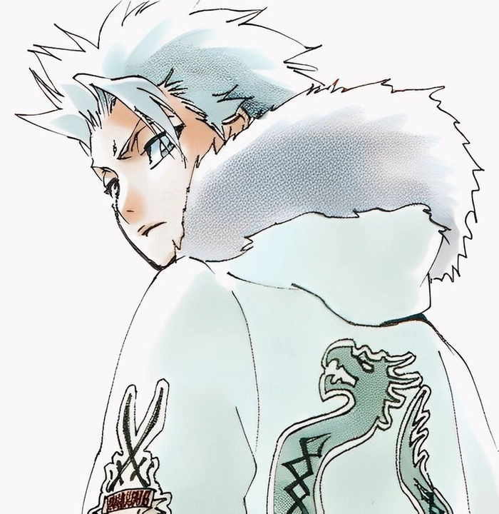 toshiro bankai pfp