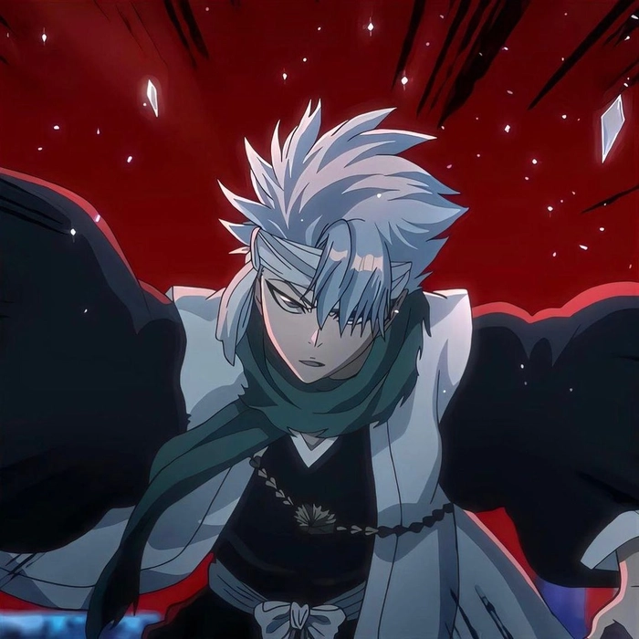 toshiro black and white pfp