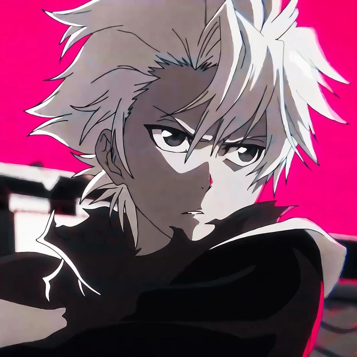 toshiro hitsugaya bankai pfp