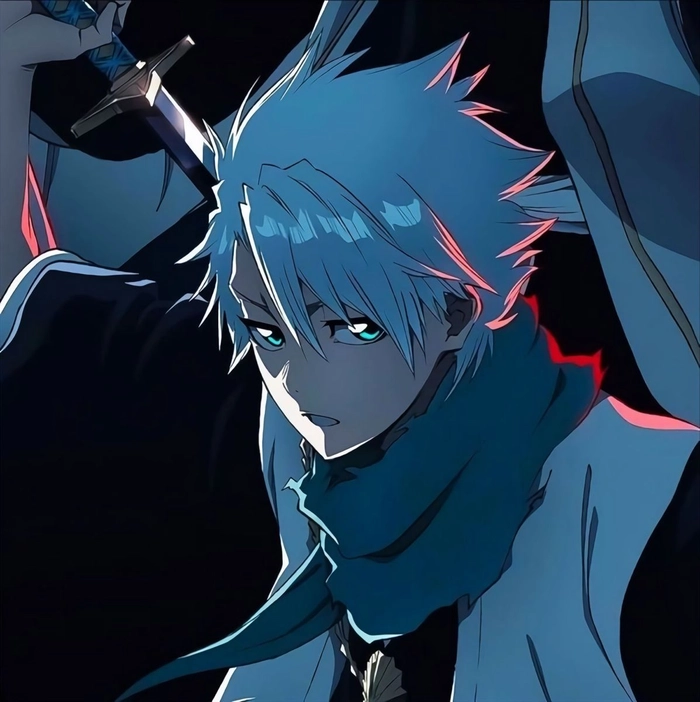 toshiro hitsugaya pfp