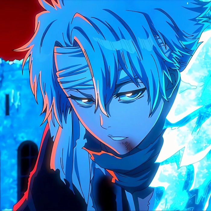 toshiro matching pfp