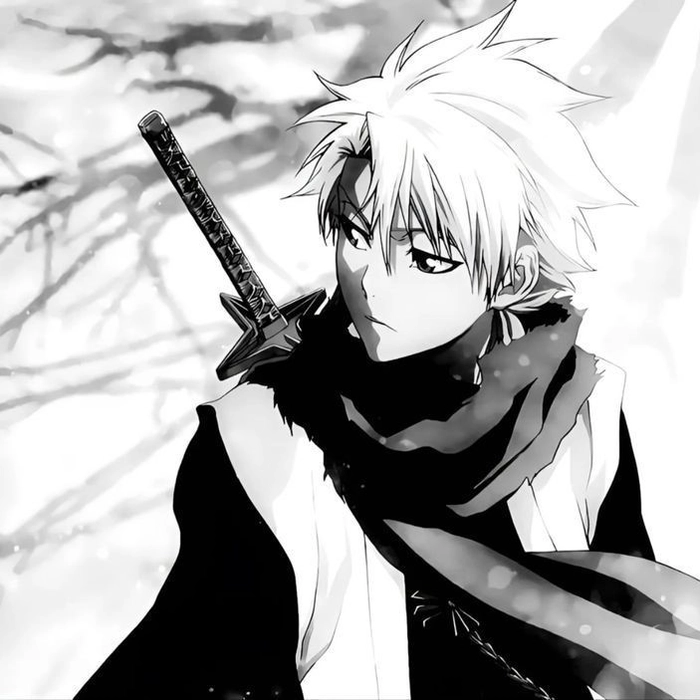 toshiro pfp manga