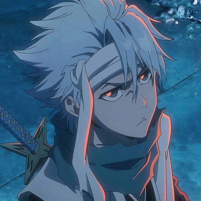 toshiro pfps