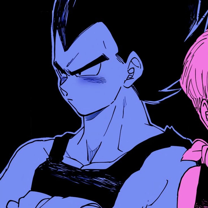vegeta and bulma matching pfp vegeta