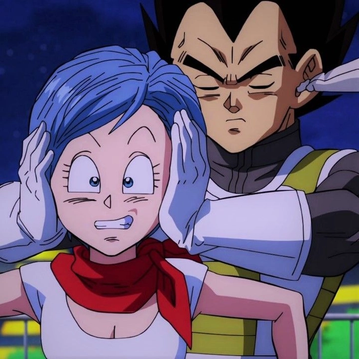 vegeta bulma matching pfp