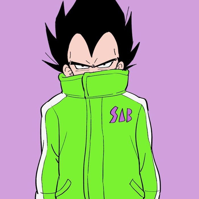 vegeta green jacket pfp