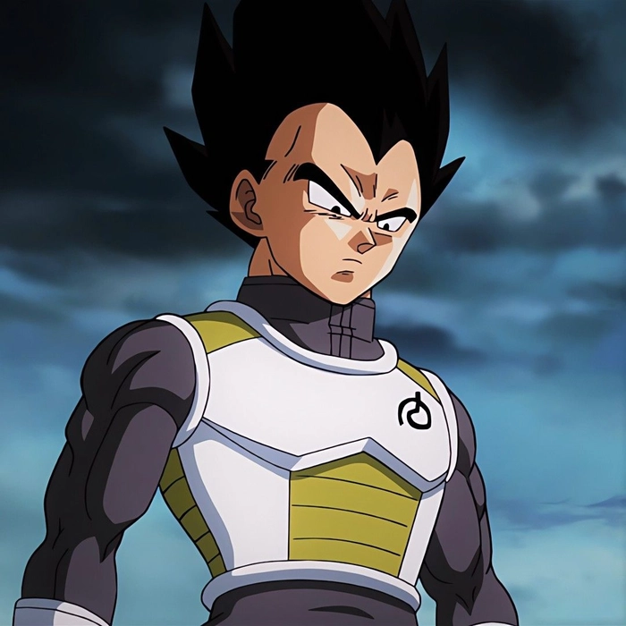 vegeta pfp aesthetic