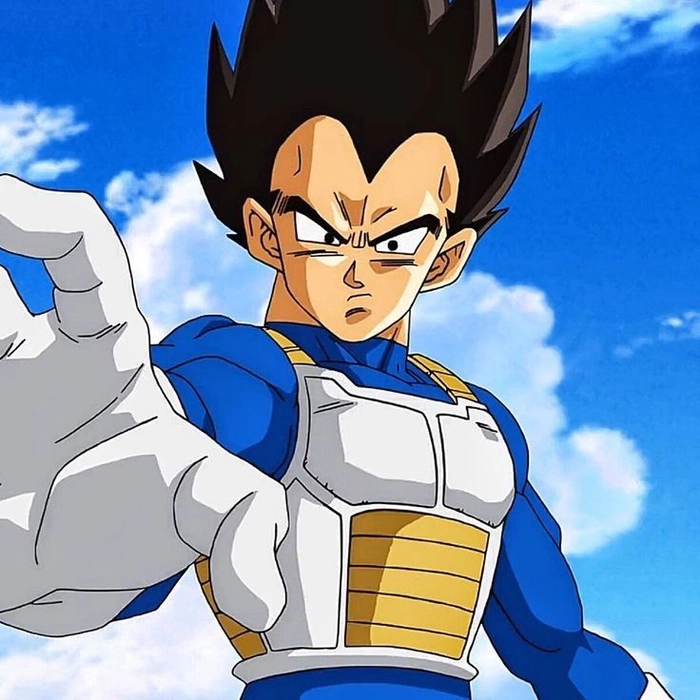 vegeta sab jacket pfp
