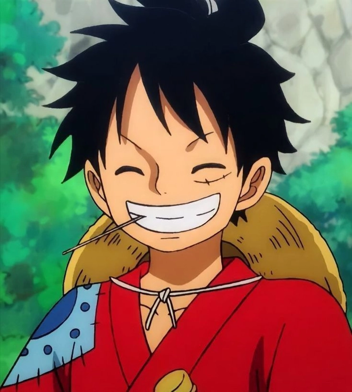 wano luffy pfp