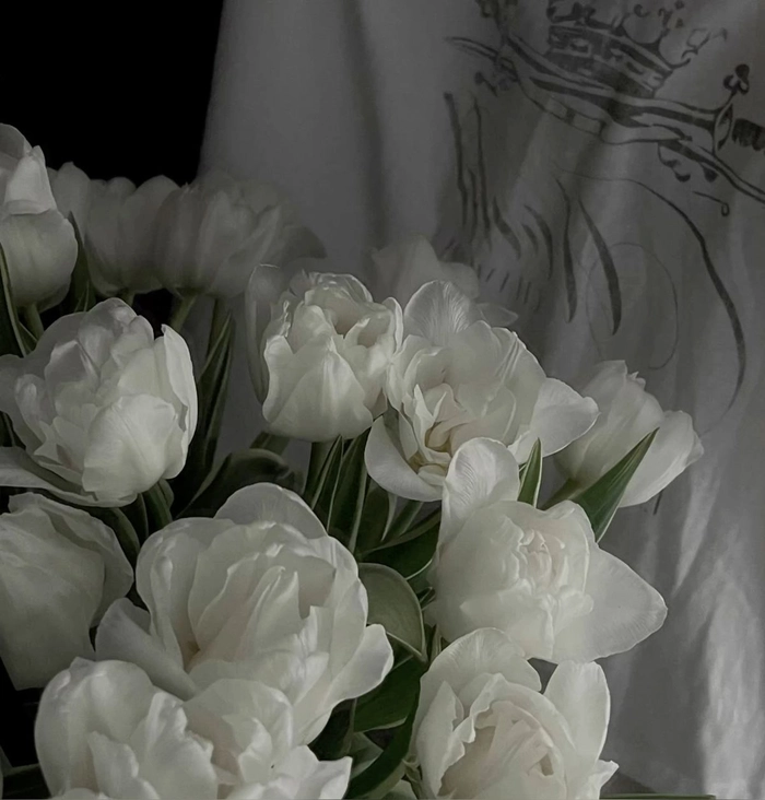 white flower pfp