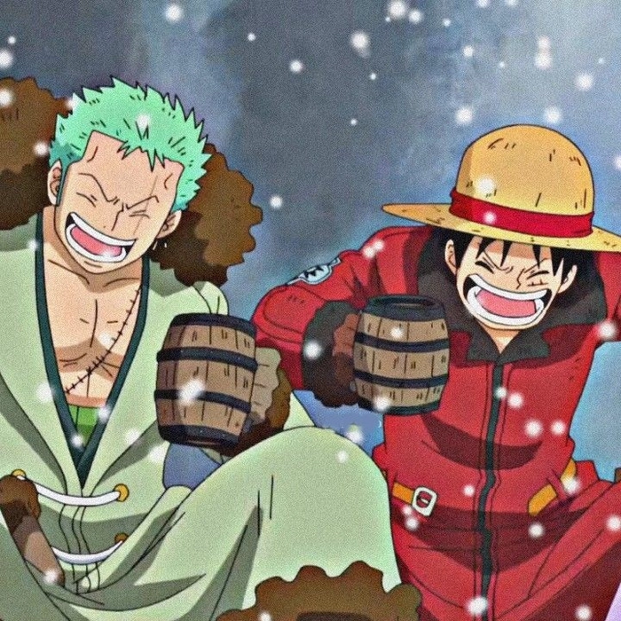 zoro and luffy pfp