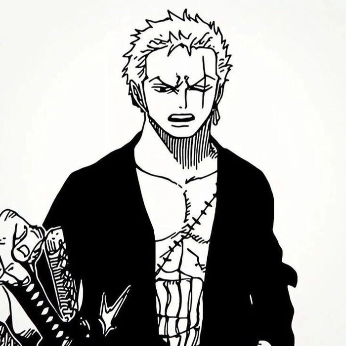 zoro black and white pfp