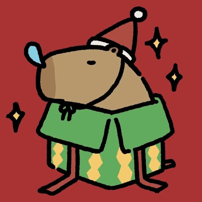 Christmas aesthetic avatar