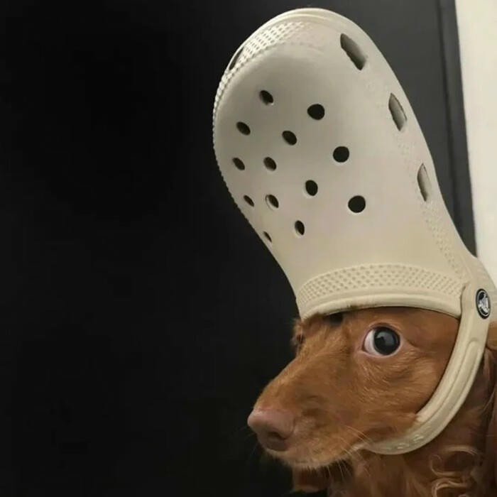 ảnh anime gương mặt méo