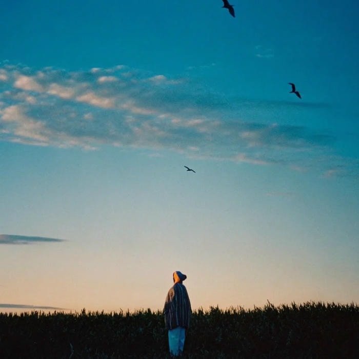 anime chill headshot